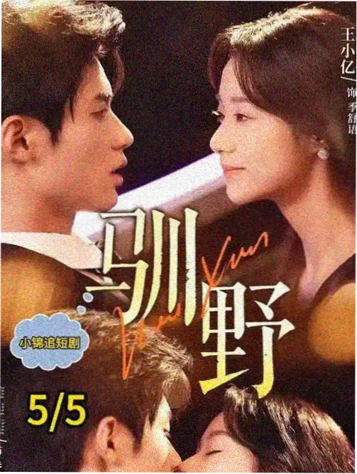 旧城故事剧集封面